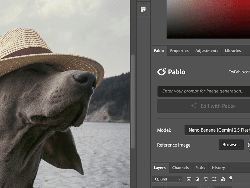 Use Nano Banana, Nano Banana Pro and Seedream 4.0 directly in Photoshop